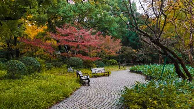 Zhongshan Park