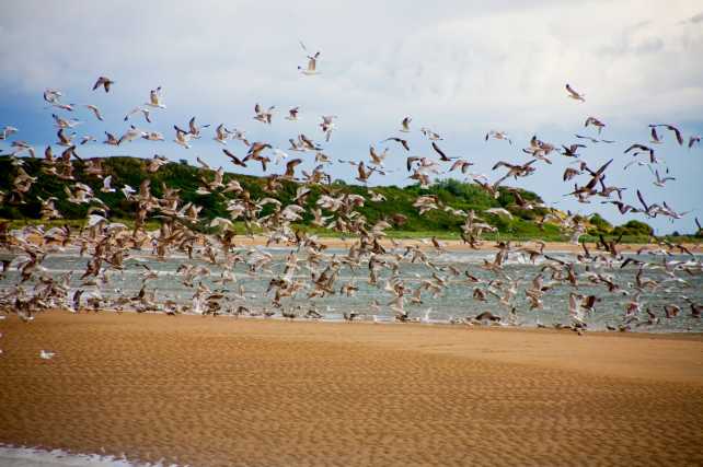 Alnmouth Beach