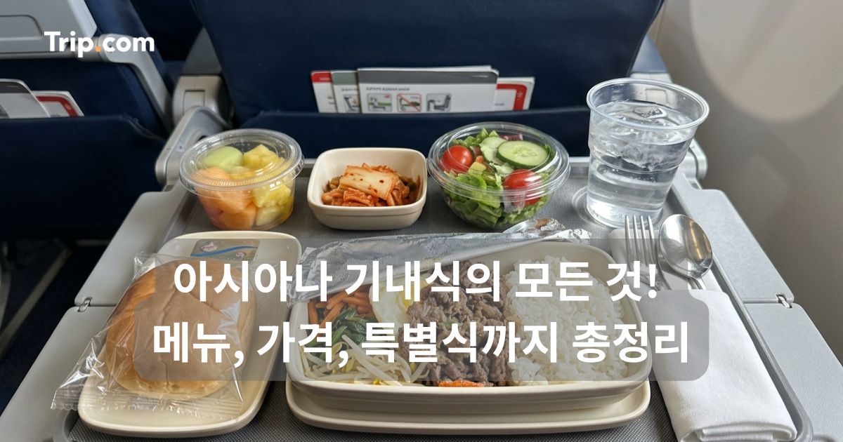 아시아나 기내식의 모든 것! 메뉴, 가격, 특별식까지 총정리 | 트립닷컴