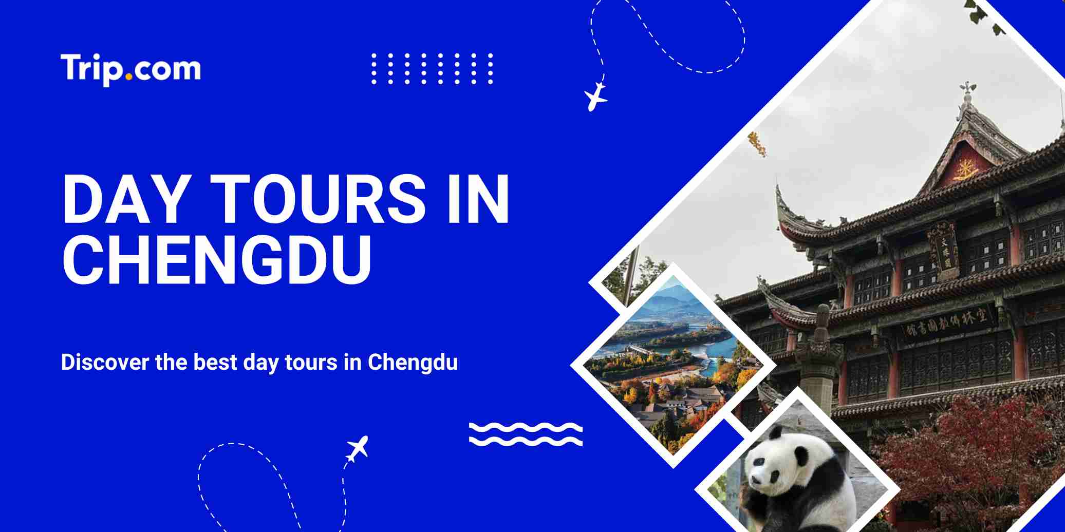 Discover the best day tours in Chengdu