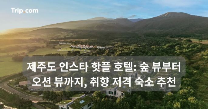 제주도 인스타 핫플 호텔: 숲뷰부터 오션뷰까지 숙소 추천 | 트립닷컴