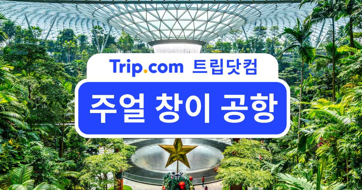 주얼 창이 공항, 티켓 예약부터 야경 명소까지 한눈에! | 트립닷컴