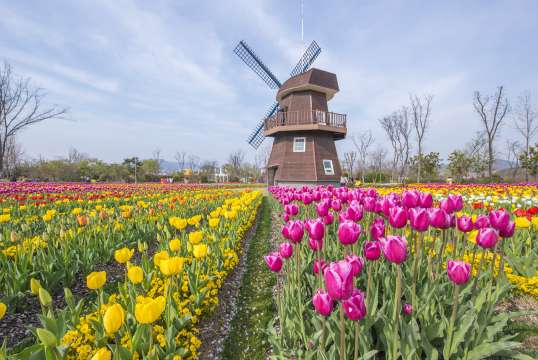 순천만국가정원