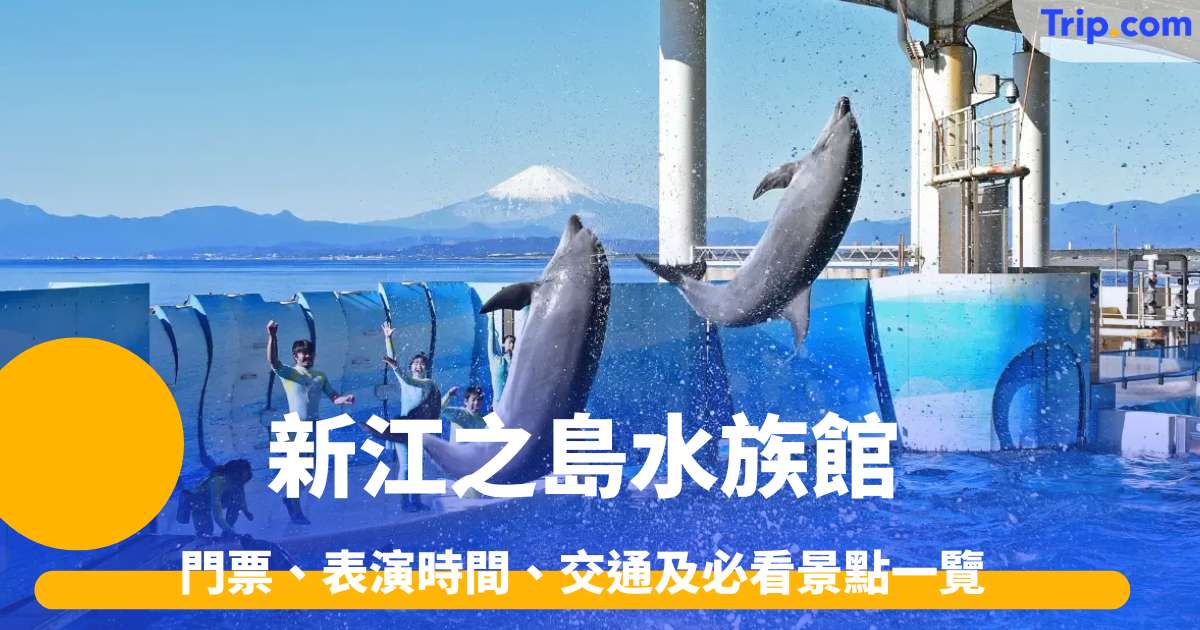 新江之島水族館攻略2026 門票、表演時間、交通及必看景點一覽 | Trip.com