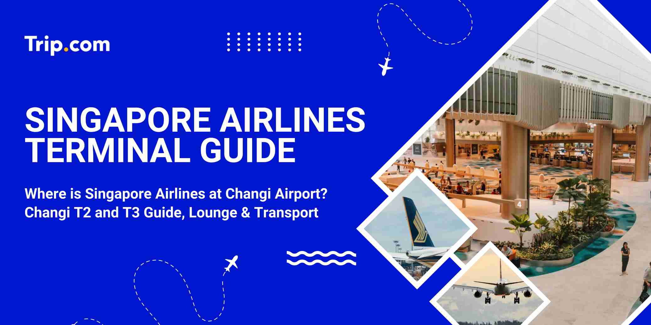 singapore airlines terminal guide