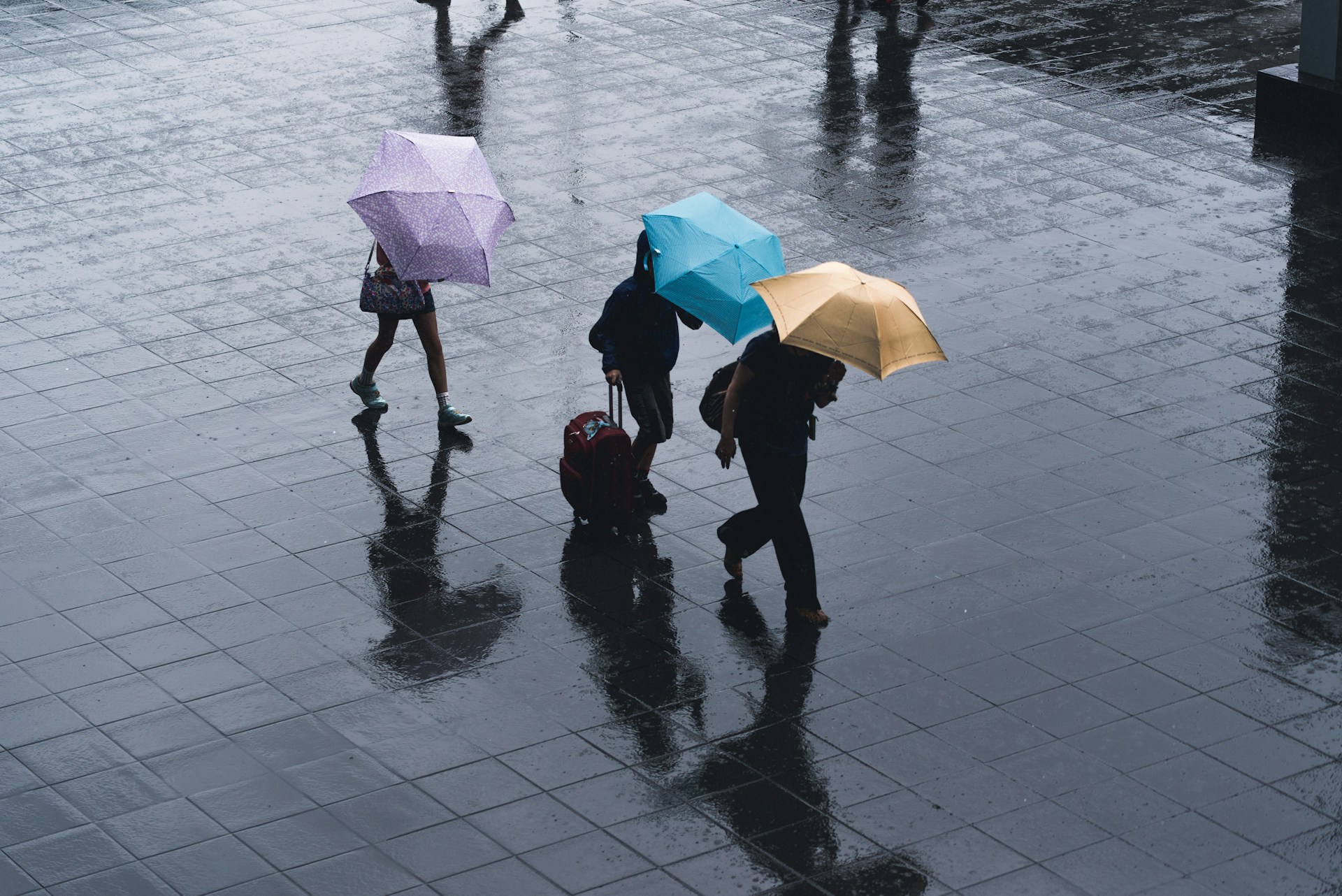 済南の1月~12月の年間降水量について
