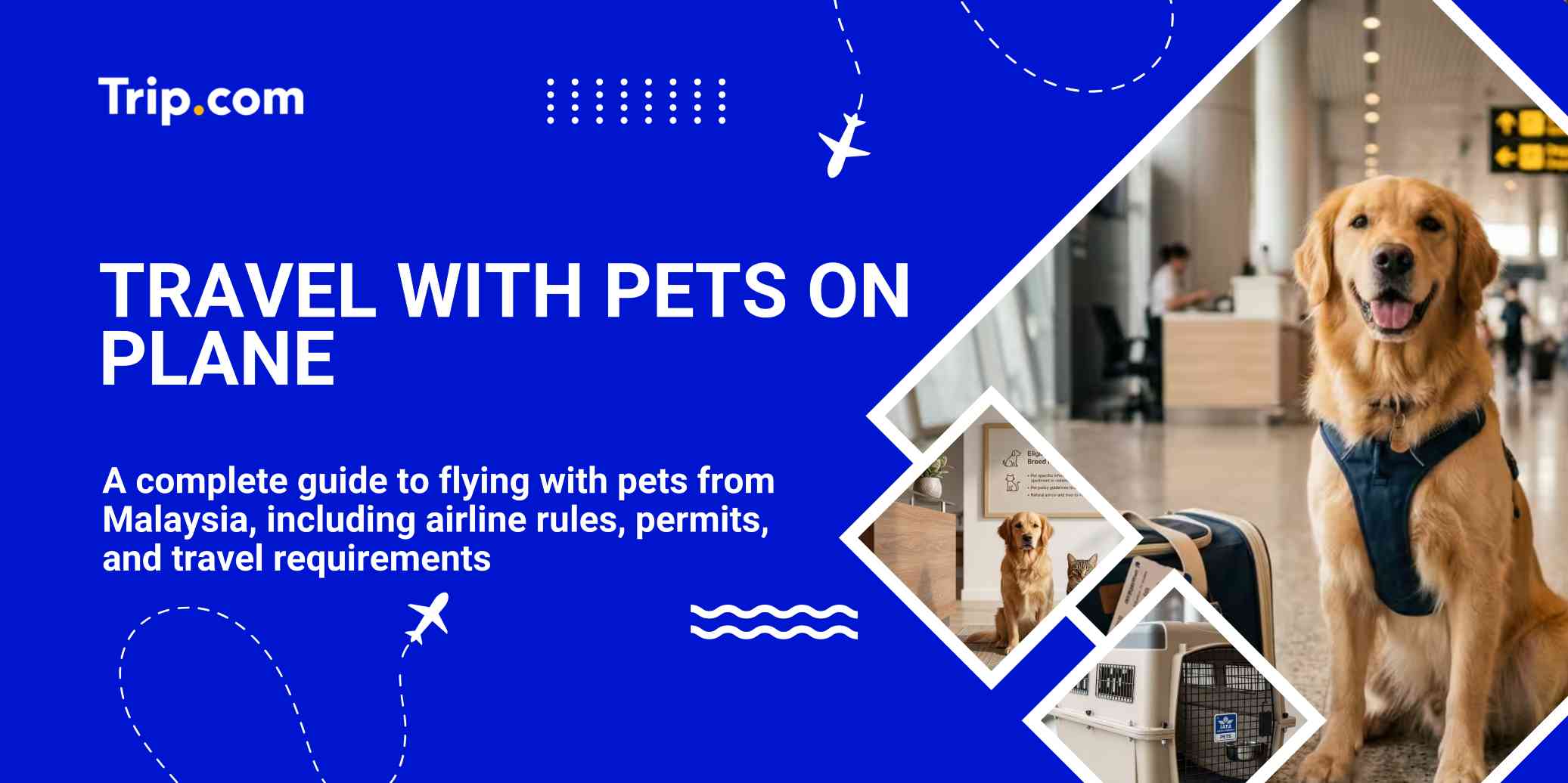 Travel with pets on plane | Trip.com