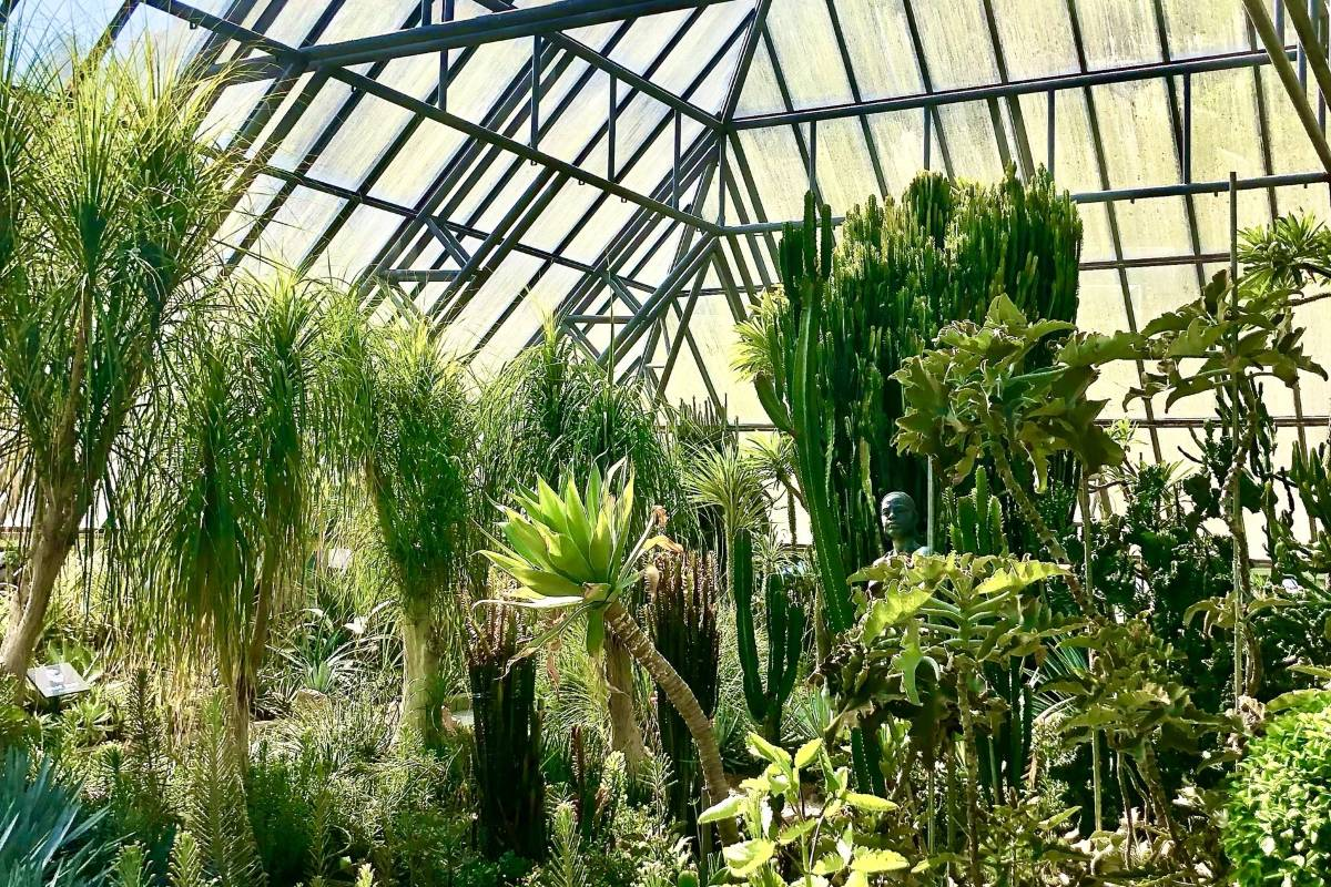 7. Wander Through the Lush Gardens of Fairy Lake Botanical Garden 🌸