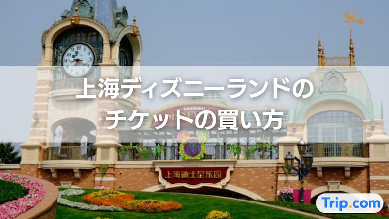 上海 ディズニー チケット 買い方