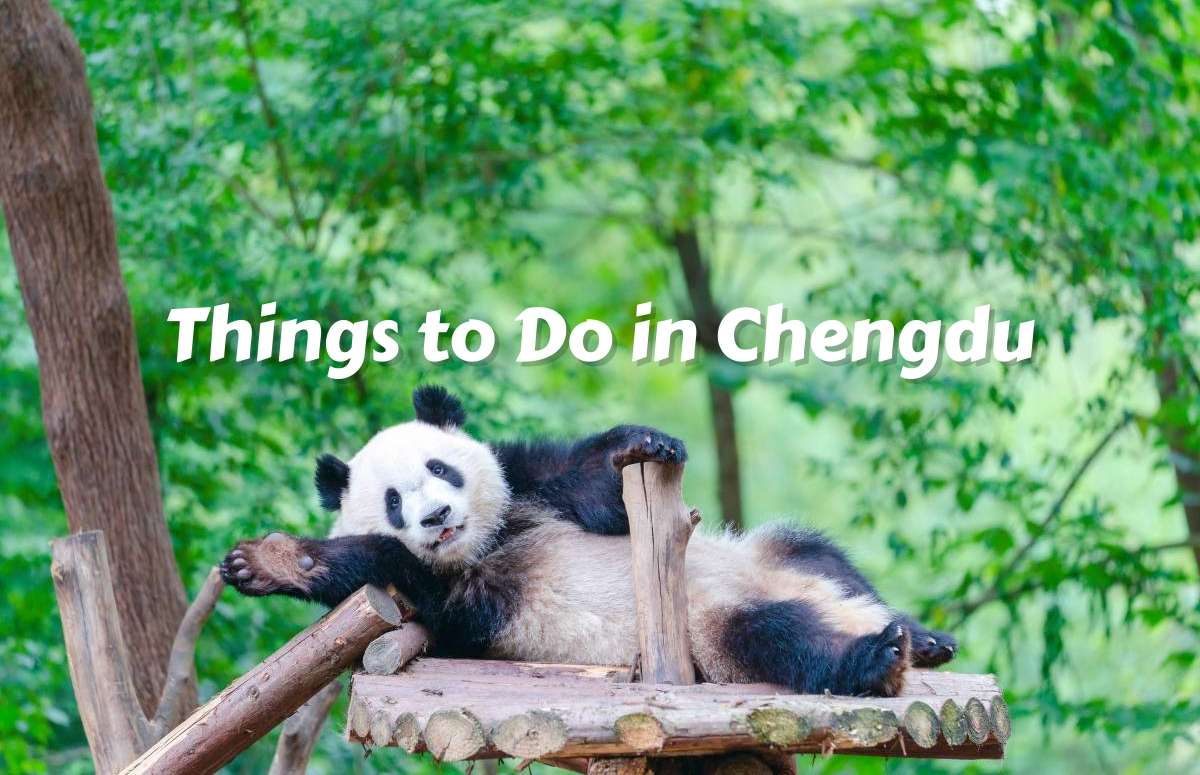 Things to Do in Chengdu
