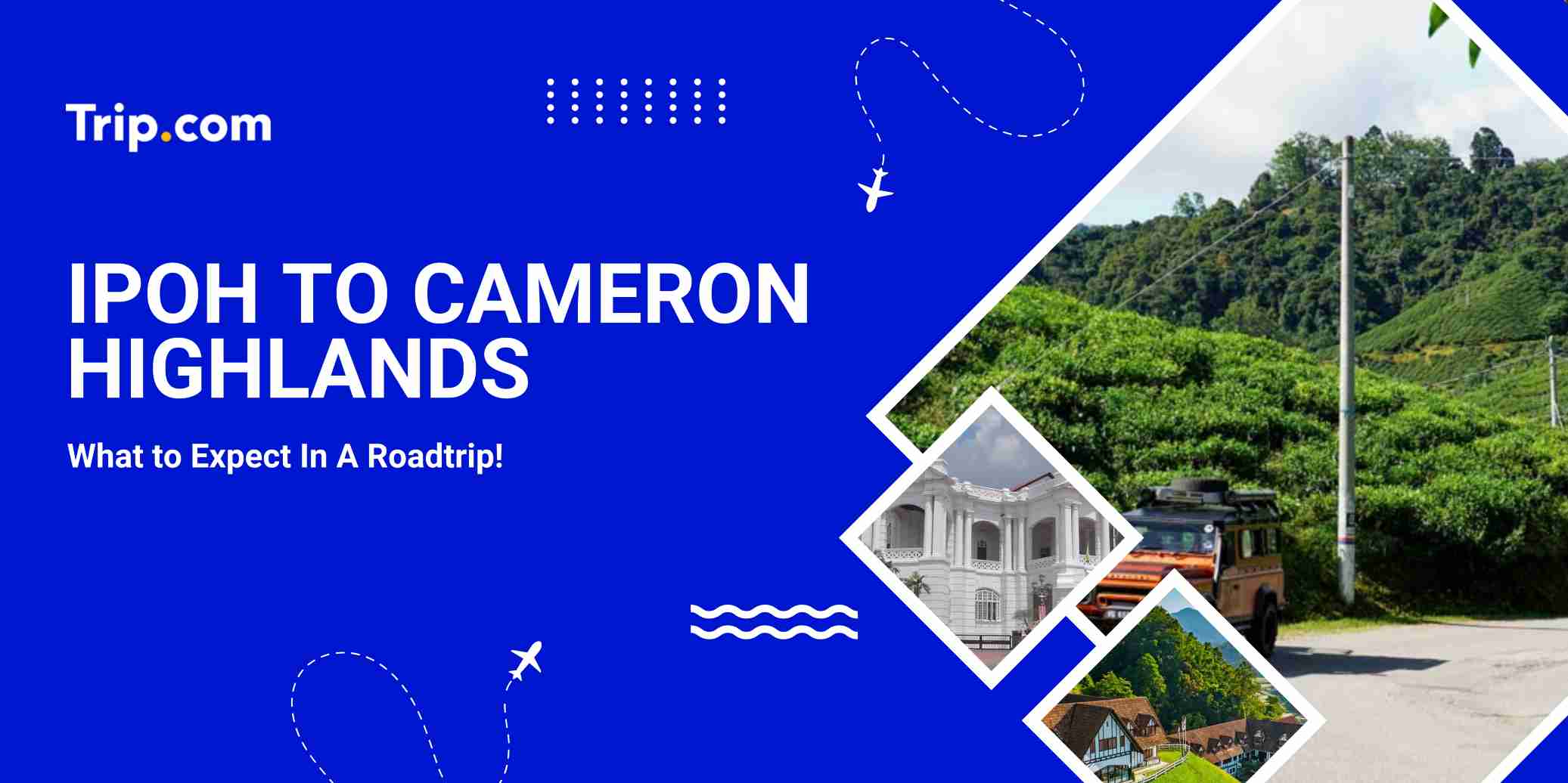 Ipoh to Cameron Highlands