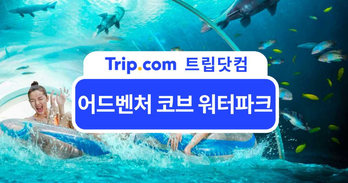 어드벤처 코브 워터파크 총정리: 티켓·예약·가는 법 한눈에 | 트립닷컴