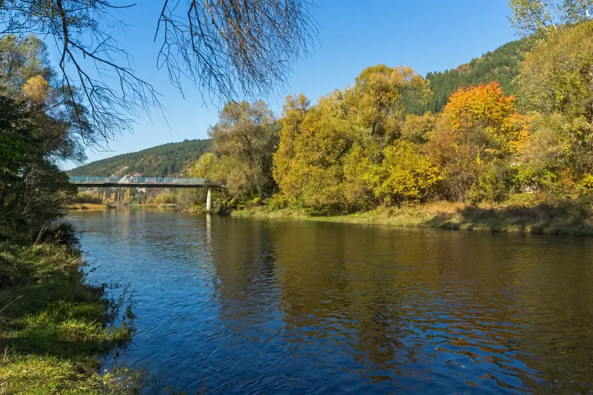 2日目|瀋陽旅行3泊4日モデルコース