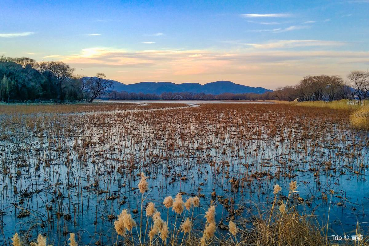 5. Drift Along History on the Summer Palace Lake