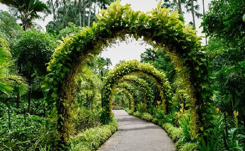 Botanic Garden