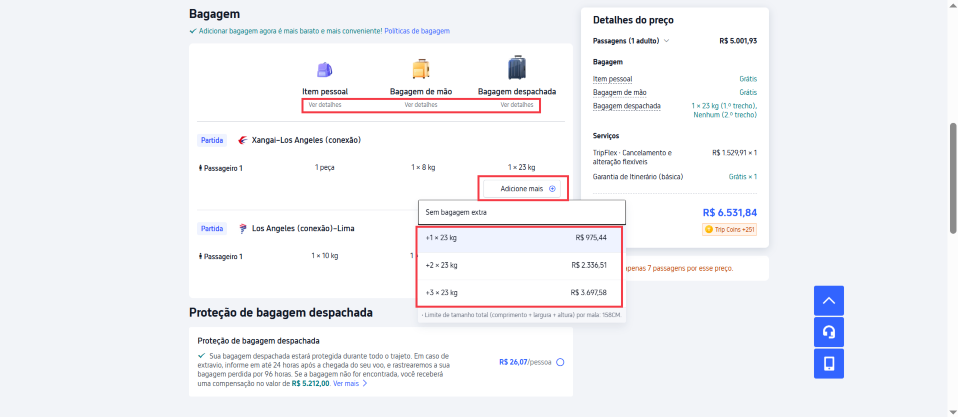 Como Adicionar Bagagem Extra na LATAM?