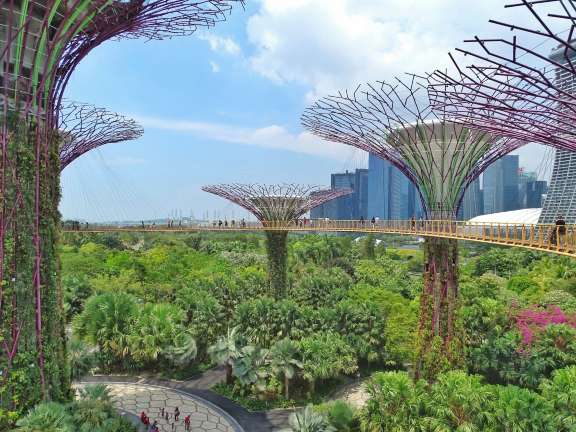 OCBCスカイウェイ|スーパーツリーを見下ろす空中散策路