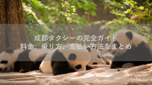 成都タクシーの完全ガイド：料金、乗り方、支払い方法をまとめ