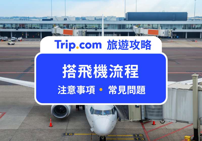 搭飛機流程