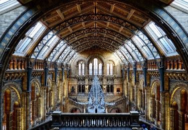 Getting the train to the London Natural History Museum: Nearest station and popular routes