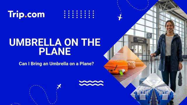 Umbrella on the Plane
