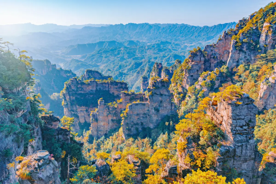 حديقة غابات تشانغجياجيه الوطنية