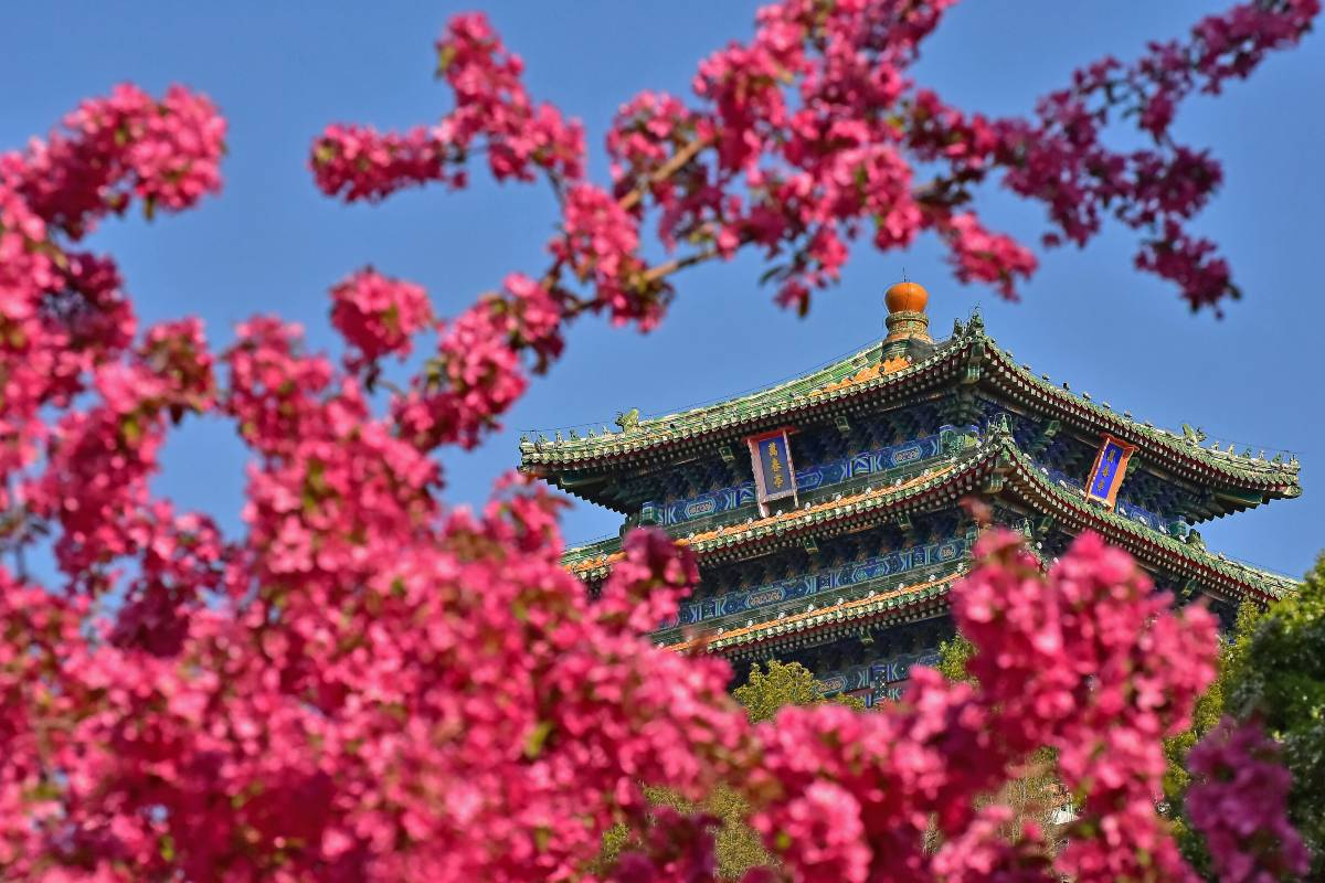 What to See and Do at Jingshan Park (Photos Incl.)