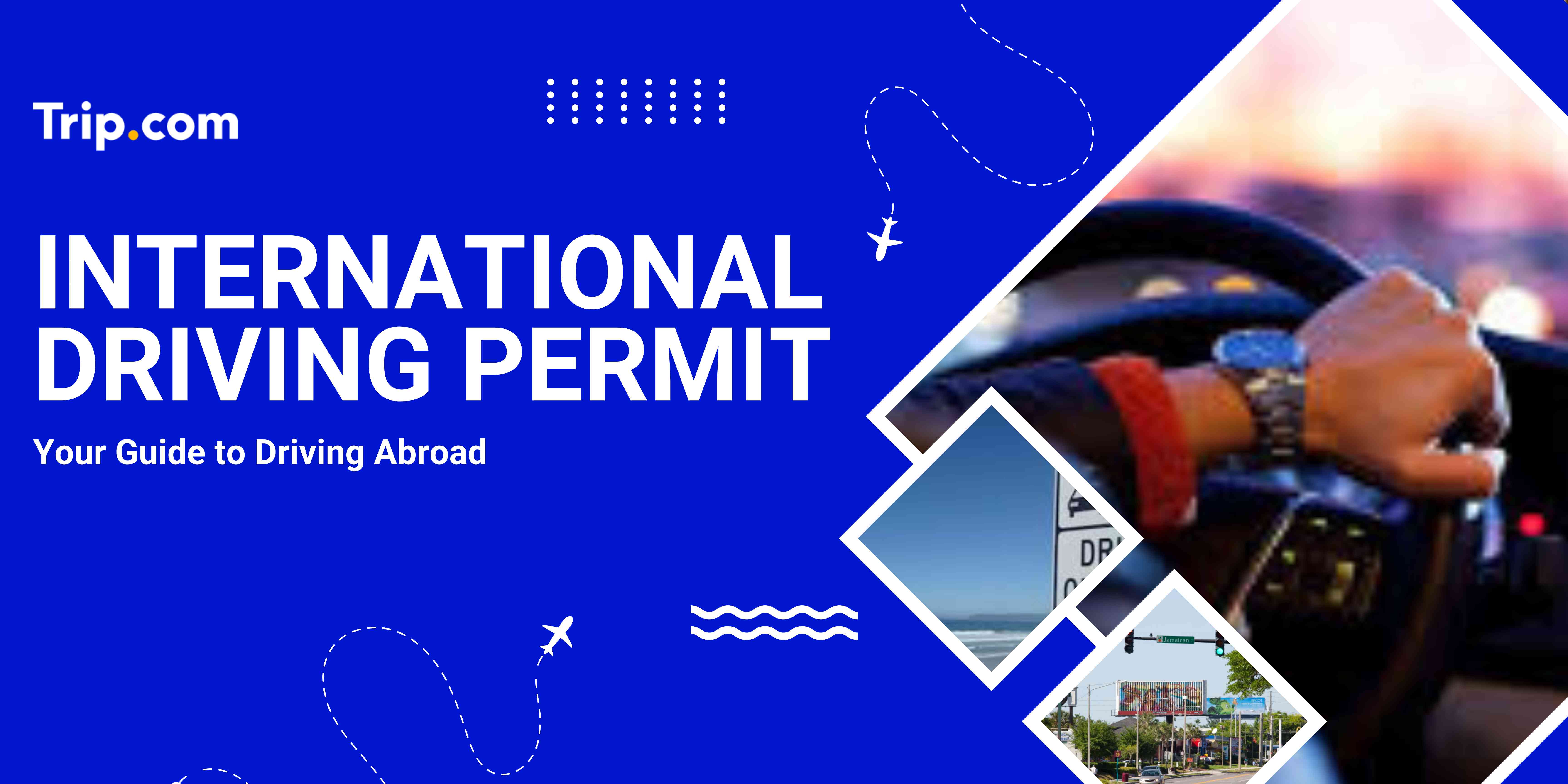 International Driving Permit
