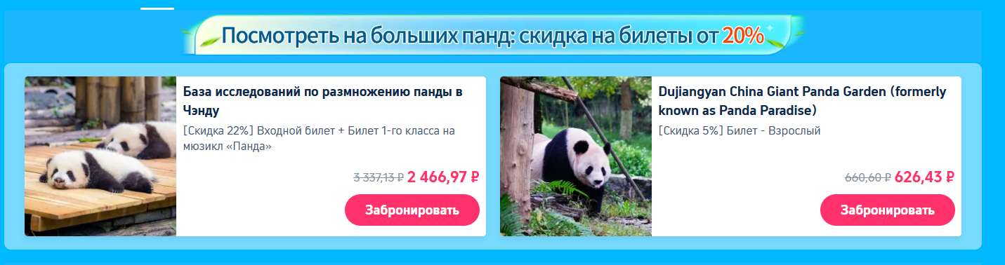 Познакомьтесь с большими пандами