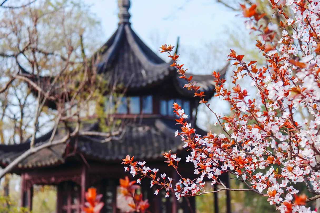How to Get to Suzhou Attractions by Metro