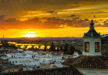 Trenes Lisboa Madrid | Guía actualizada 2025