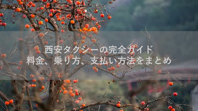 西安タクシーの完全ガイド：料金、乗り方、支払い方法をまとめ