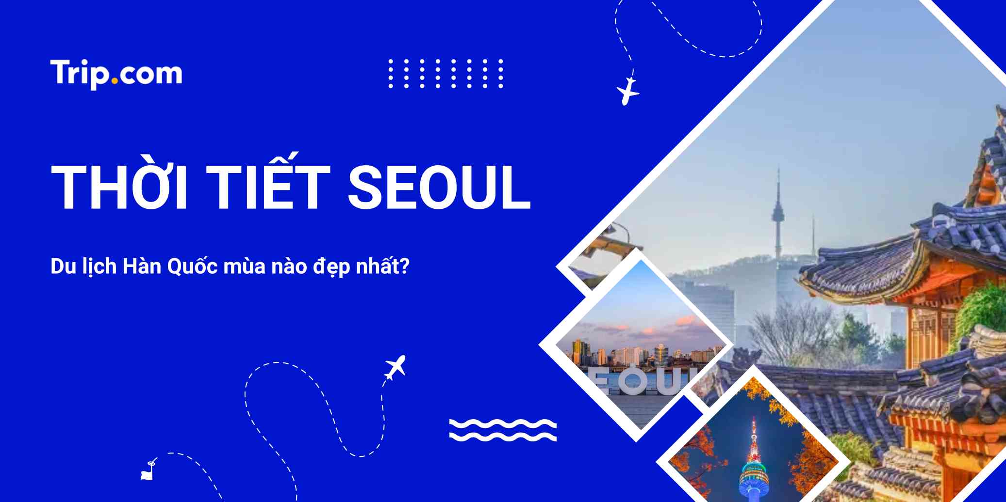 Thời tiết Seoul 2026: Du lịch Hàn Quốc mùa nào đẹp nhất? (Review chi tiết) | Trip.com