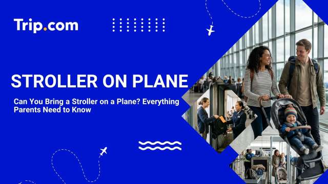 Stroller on Plane: A Parent's Complete Guide | Trip.com