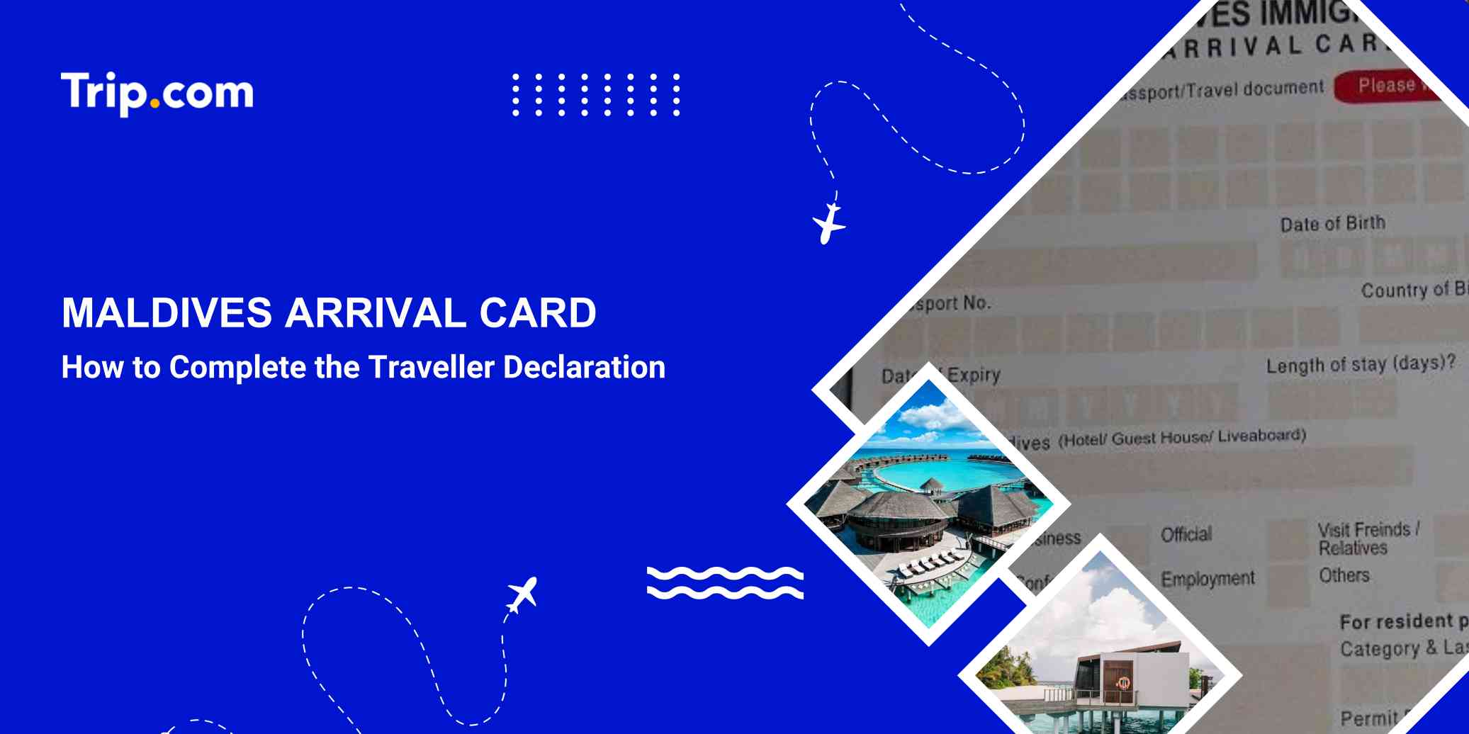 Maldives Arrival Card: Traveller Declaration & Entry Guide | Trip.com