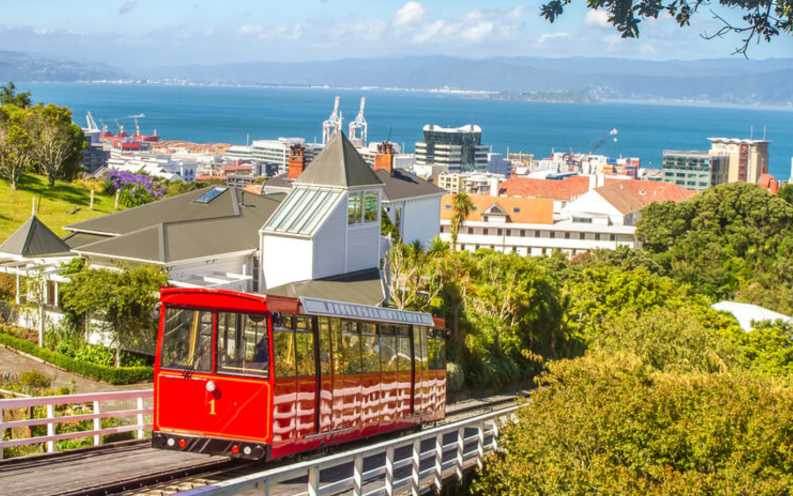 New Zealand Visa Application