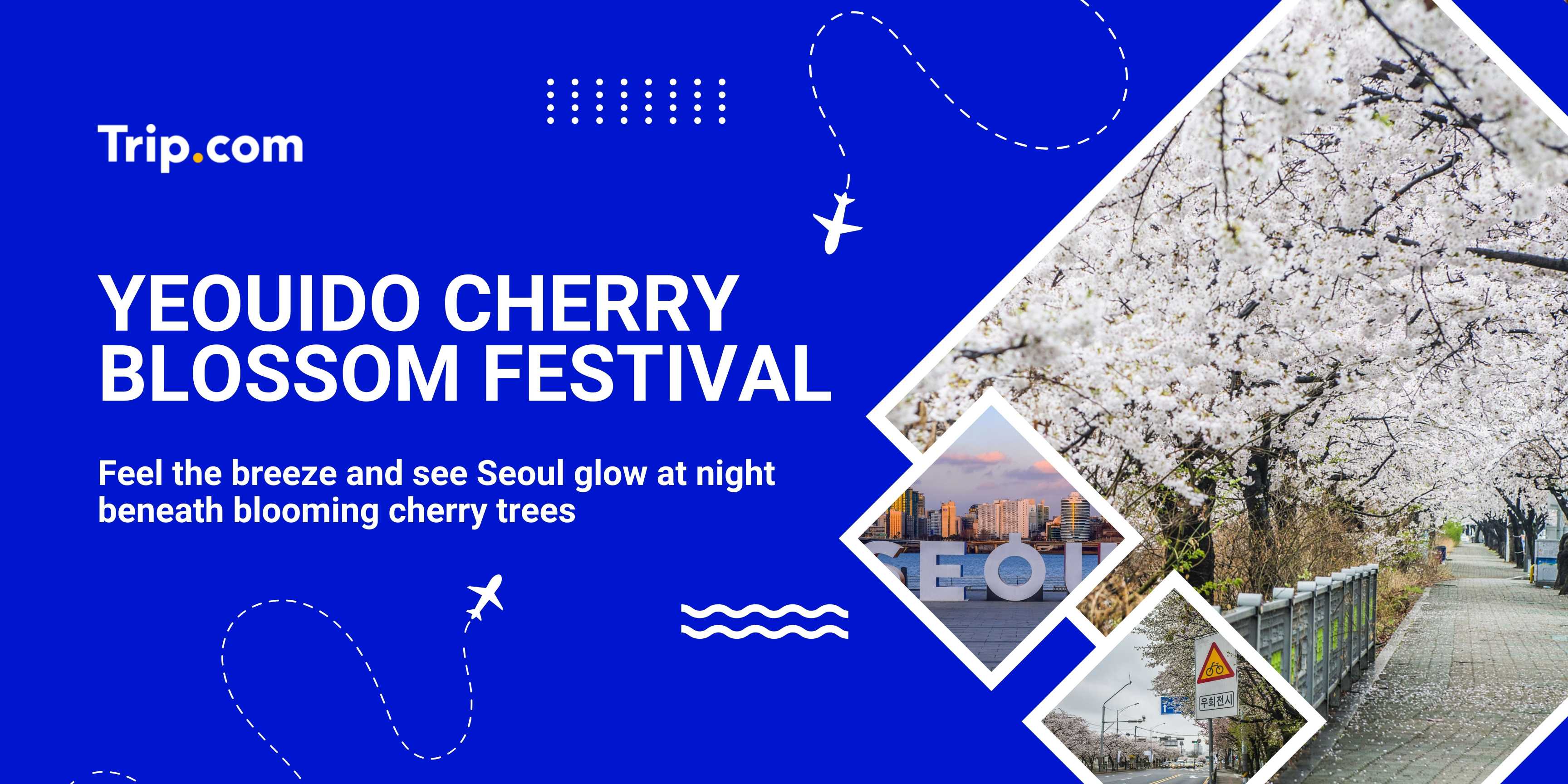 Yeouido Cherry Blossom Festival Travel Guide | Trip.com