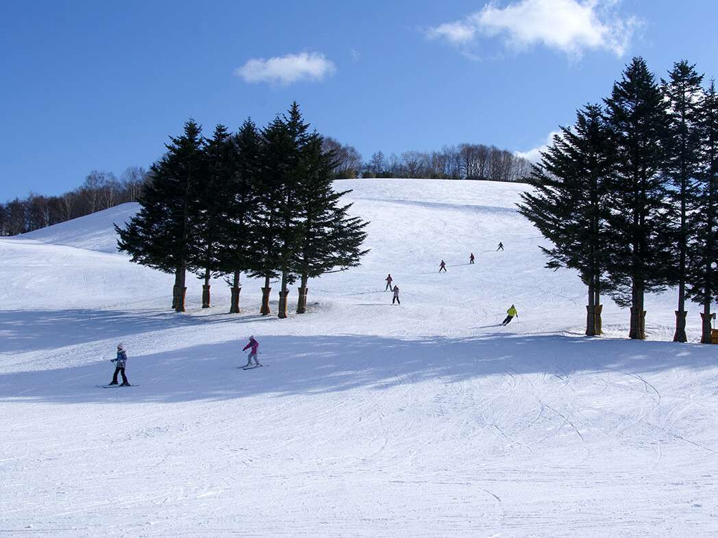ダイナスティスキーリゾート