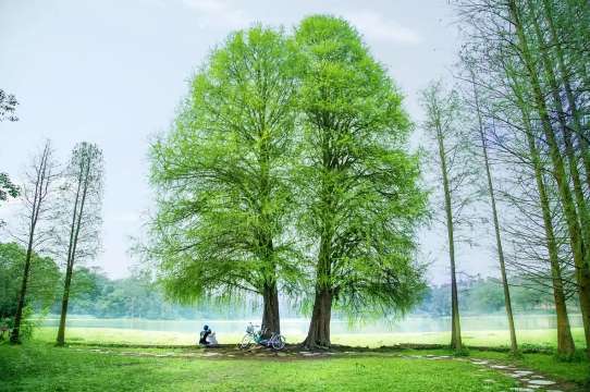 วนอุทยานแห่งชาติเหลียงเฟิ่งเจียง (Liangfengjiang National Forest Park)