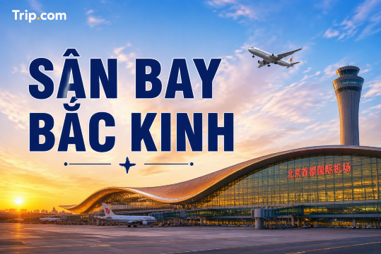Cẩm nang Sân bay Bắc Kinh 2026: So sánh PEK & PKX, Cách di chuyển vào trung tâm