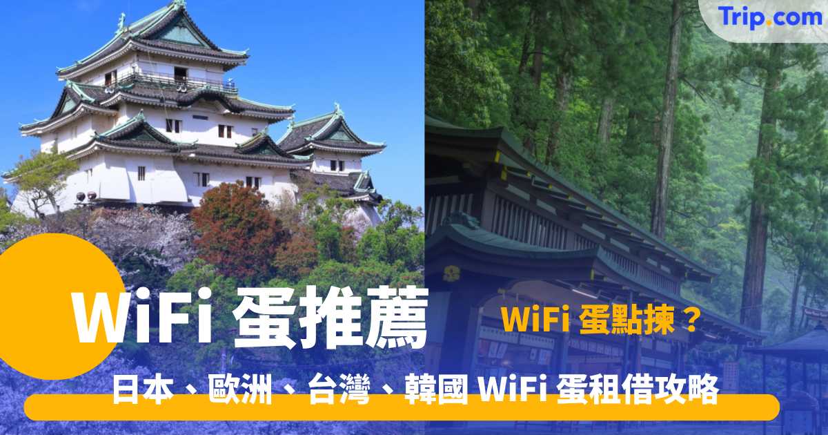 WiFi蛋推薦2026 日本、歐洲、台灣、韓國 WiFi 蛋租借攻略 | Trip.com
