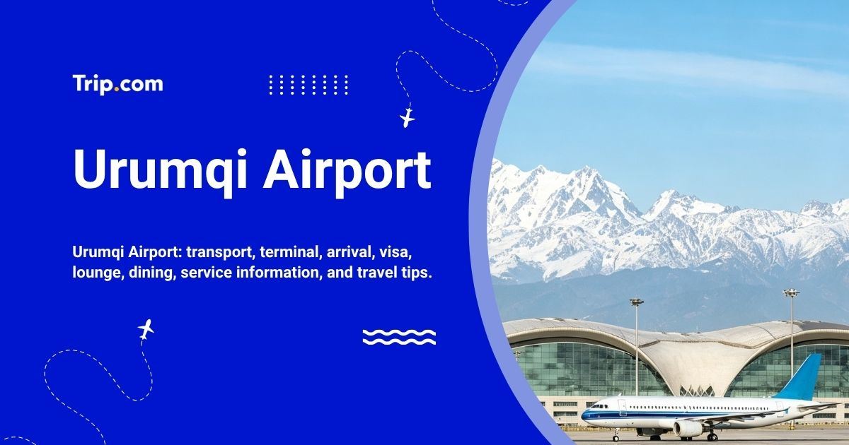 Urumqi Airport: Transport, Services and Travel Tips