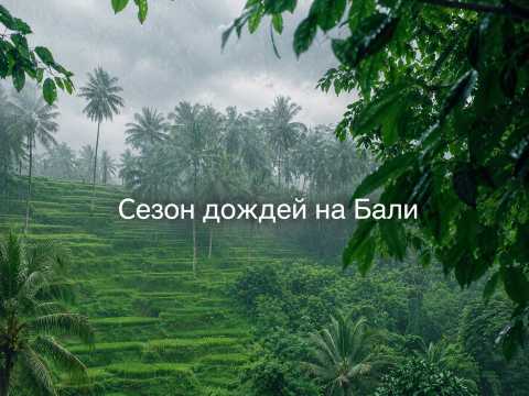 Сезон дождей на Бали: когда начинается и стоит ли ехать | Trip.com
