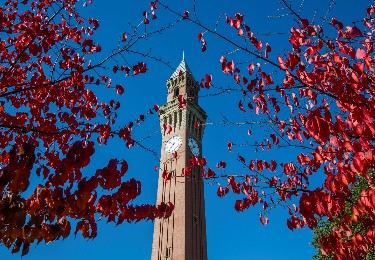Nottingham to Birmingham: Cheapest vs quickest vs best