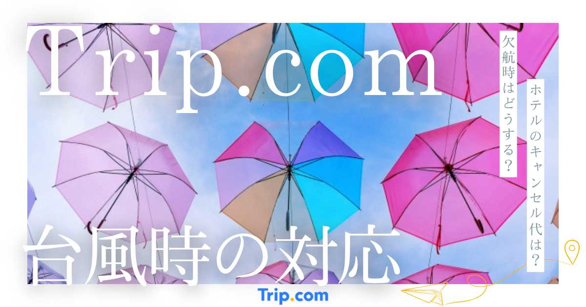 台風でTrip.comのフライトが欠航になったら変更できる?ホテル代のキャンセルは?