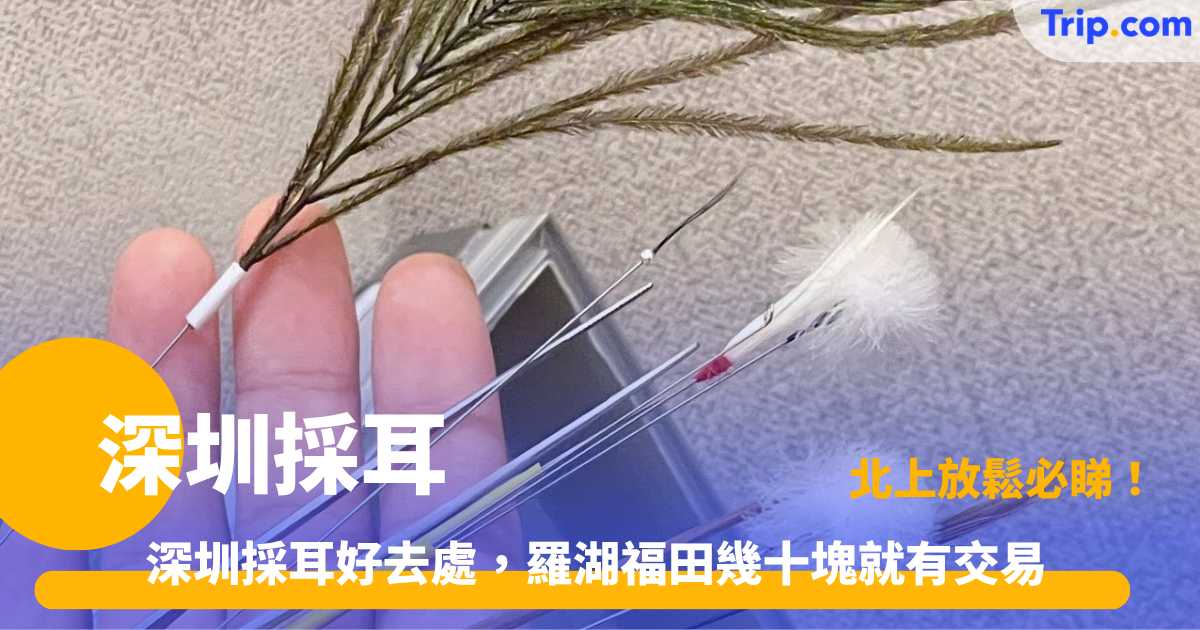 深圳採耳 | 深圳各區 24 大熱門採耳 SPA 按摩店推介 | Trip.com