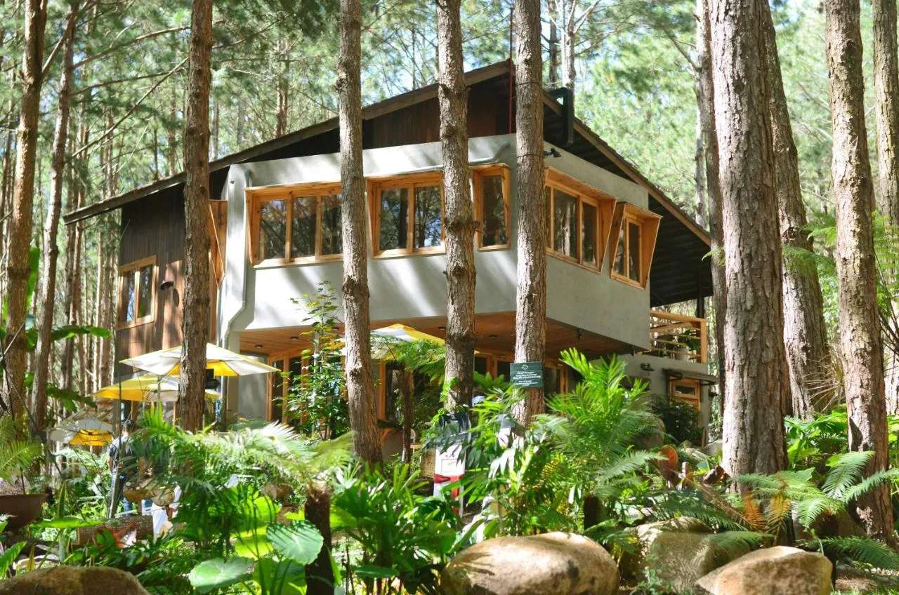 Mơ Stay - Forest Resort