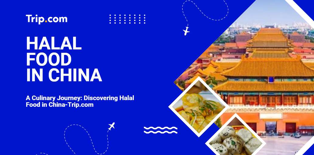 Discovering Halal Food in China-Trip.com