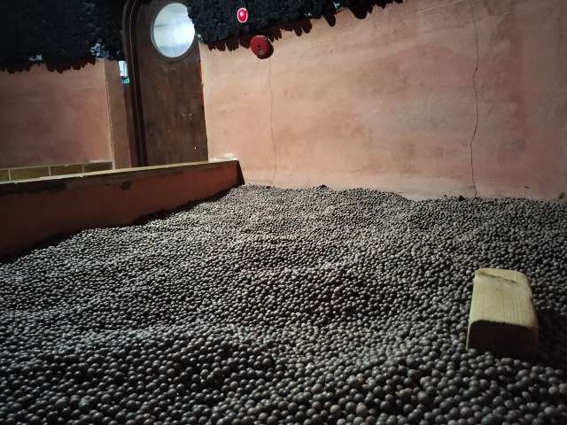 初心者必見！韓国チムジルバンの入り方ステップ