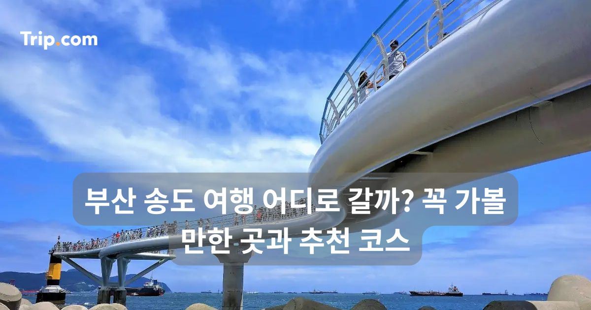 부산 송도 여행 어디로 갈까? 꼭 가볼만한곳과 추천 코스 | 트립닷컴